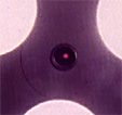 reson Rota bearing